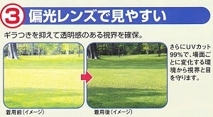 シーザー（比較）.jpg