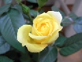 RIMG0022.JPG