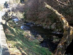 IMGP1765.JPG